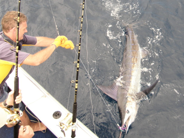 Scott from Singapore caught his first marlin