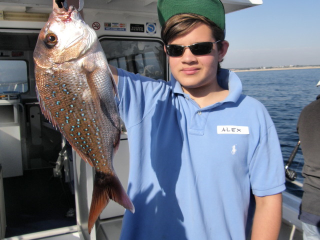 Hey, this is a nice fish! A 44 cm Snapper caught by 14 year old Alex
