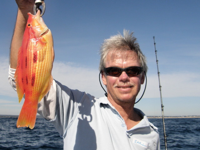 Well done Earle, that is a very nice pigfish!