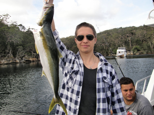 Fish of the week! A very nice kingfish out of Port Hacking