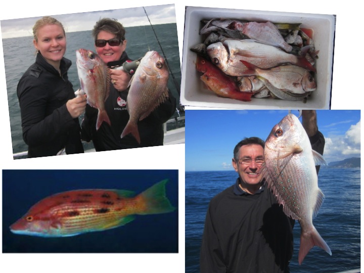 After a difficult recent period we have a GREAT Deep Sea Fishing Trip on the weekend.