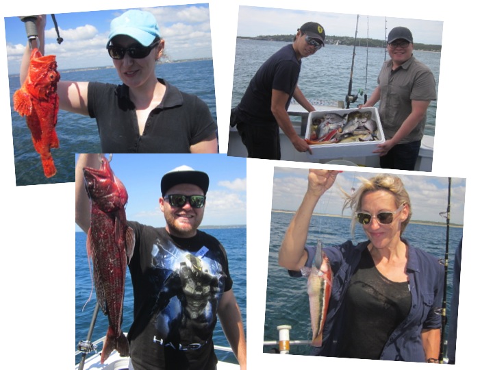 An offshore reef fishing weekend – with a box of mixed fish