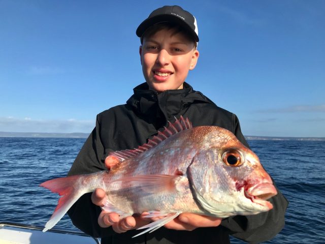 All At Sea Fishing Charters - Snapper Cronulla