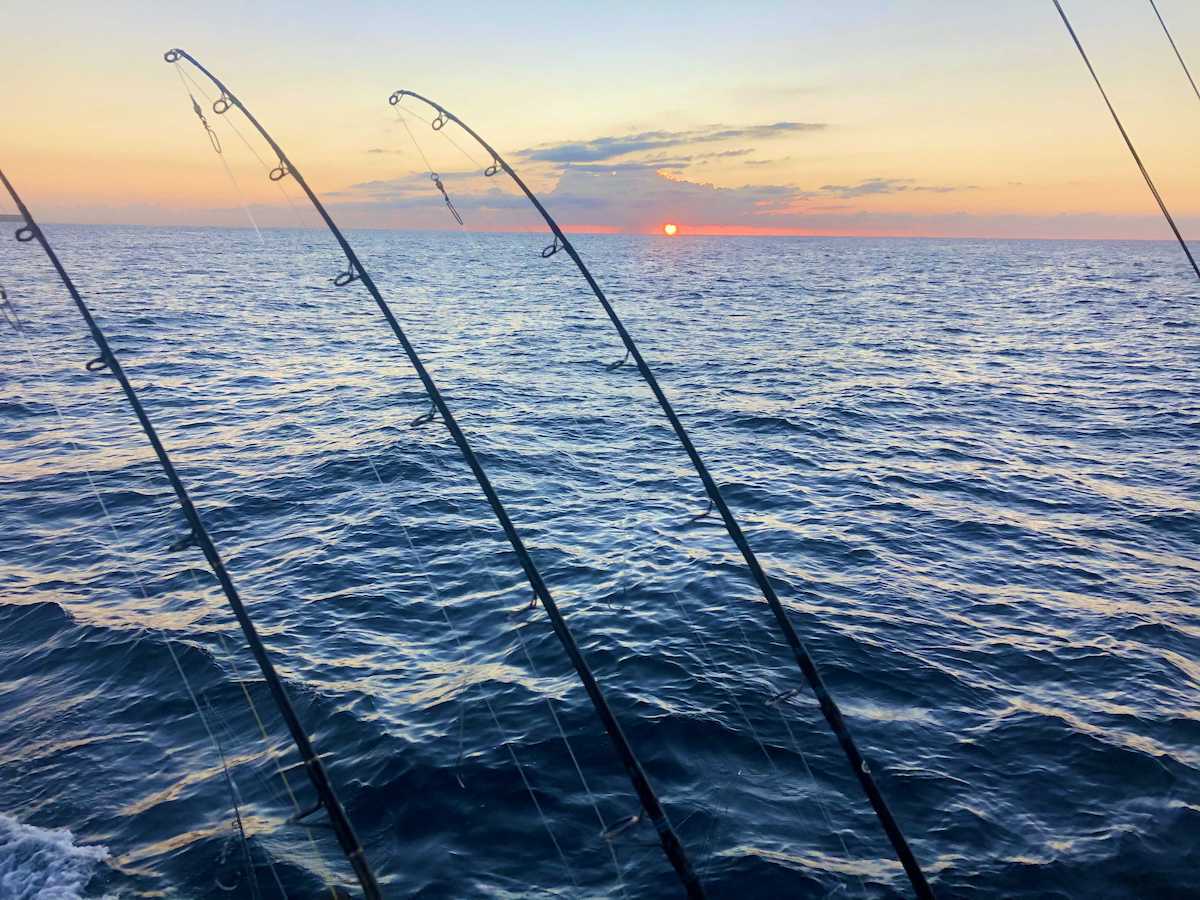 All at Sea Charter Fishing Sunrise