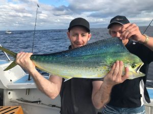 Mahi Mahi Fishing sydney
