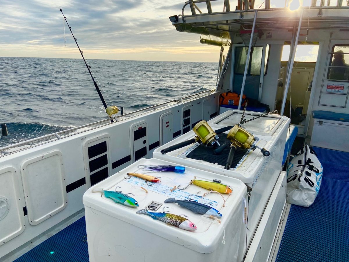 Blue Eye Cod fishing charter cronulla sydney