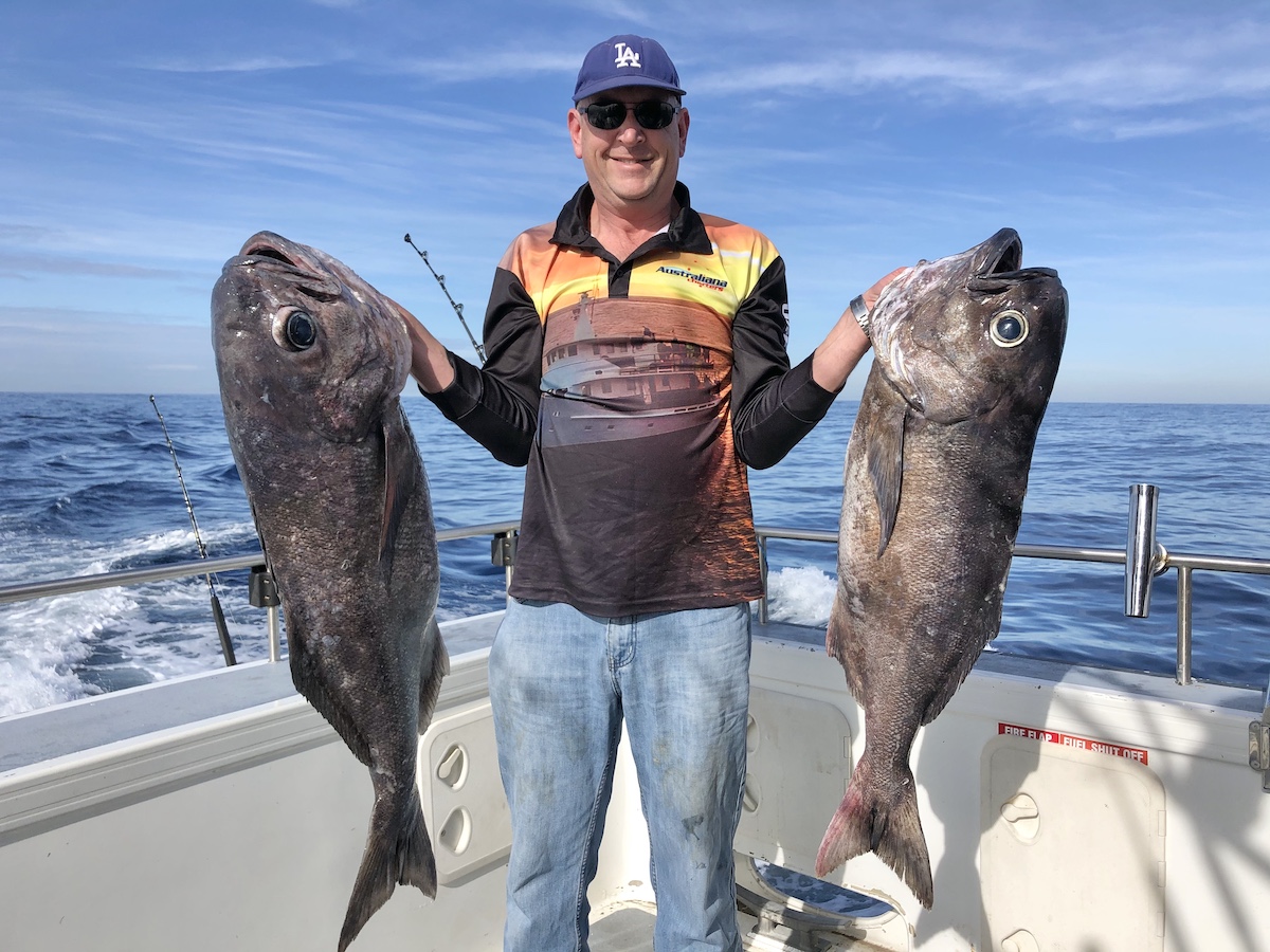 Blue Eye Cod fishing charter cronulla sydney